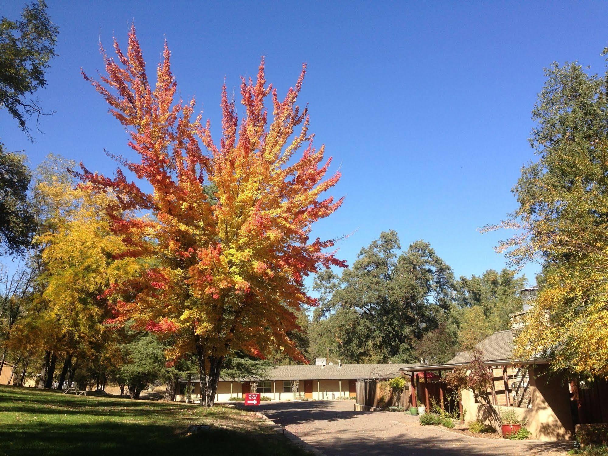Queen'S Inn By The River Oakhurst Exterior foto
